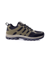 OLIVE STORM